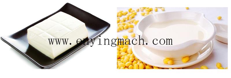 tofu and soybean milk tofu and soybean milk