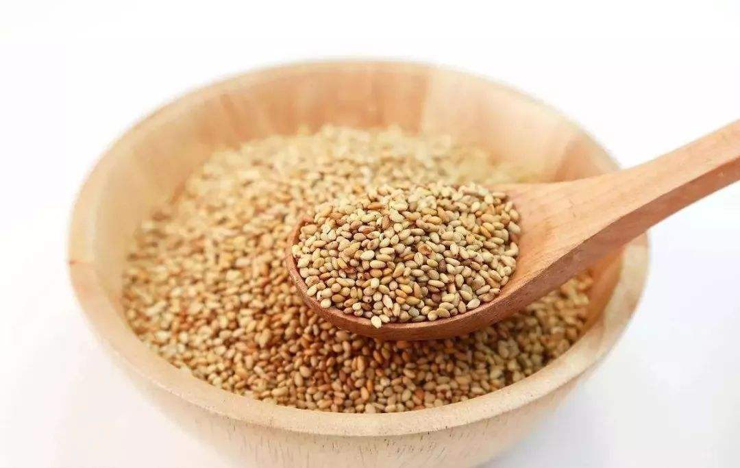 tahini machine maker tahini machine maker