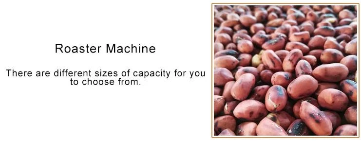 peanut roasted machine